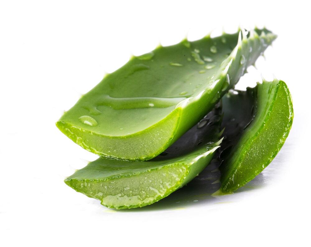 rainbow aloe vera bio gel Aloe Vera – BYROKKO USA